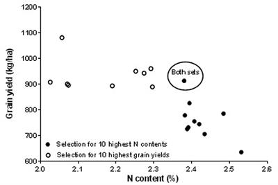 Cowpea and Groundnut Haulms Fodder Trading and Its Lessons for Multidimensional Cowpea Improvement for Mixed Crop Livestock Systems in West Africa